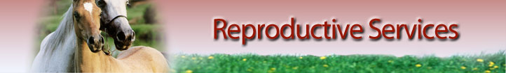 Reproductive Services